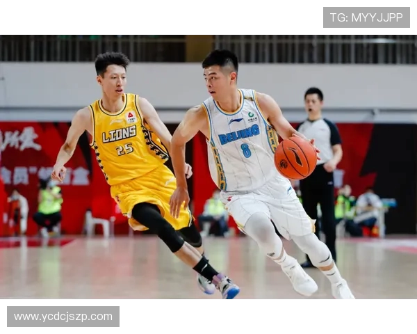 北京篮球队战术引发热议球迷与专家观点交锋分析